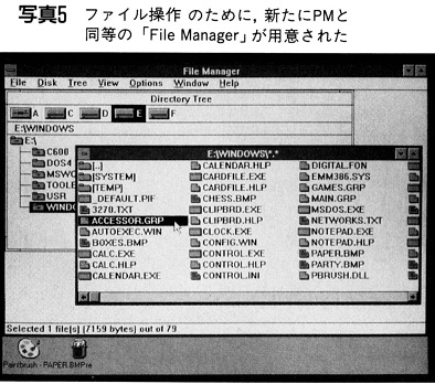 ASCII1990(08)h12Windows31写真5_W394 .jpg