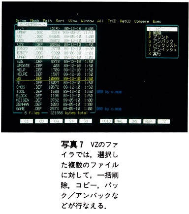 ASCII1991(02)d06VZ写真7_W384.jpg
