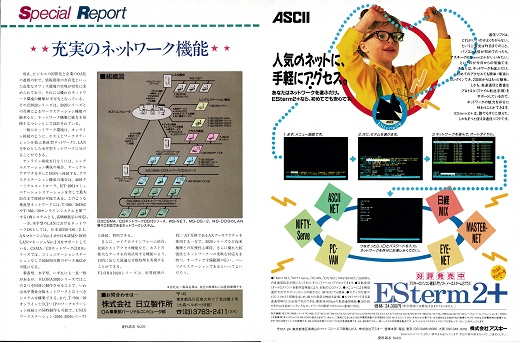 ASCII1991(10)a39FLORA_W520.jpg