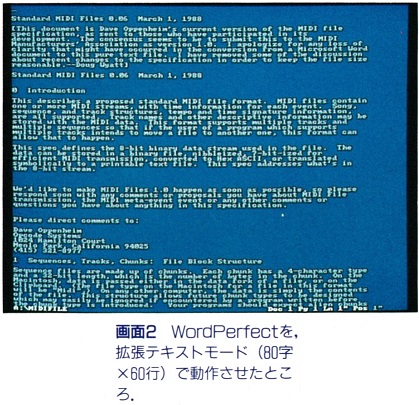 ASCII1991(11)d03JD1991画面2_W419.jpg