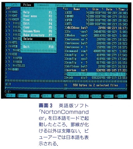 ASCII1991(11)d06AXAGE画面3_W433.jpg