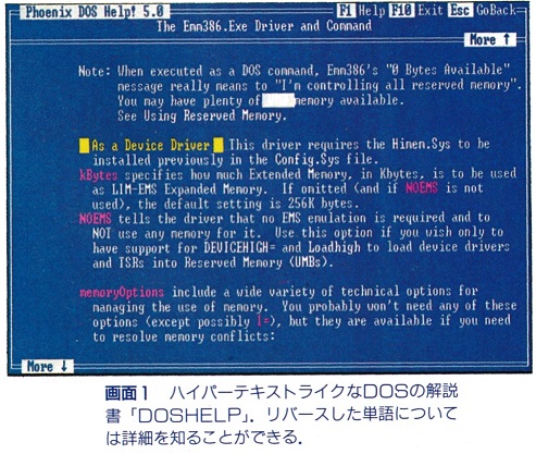 ASCII1992(05)d07MOBYRICK486画面1_W493.jpg