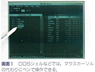 ASCII1992(06)d02NCR1325画面1_W333.jpg