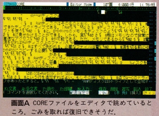 ASCII1992(05)c24メモリコラム記事画面A_W729.jpg